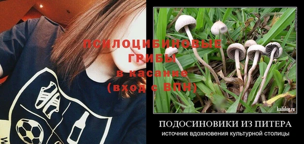 дживик Верея