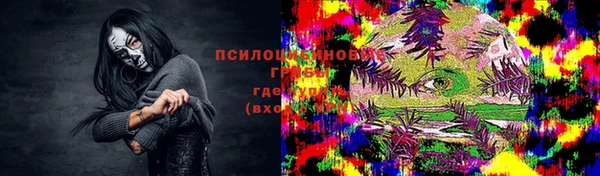 дживик Верея