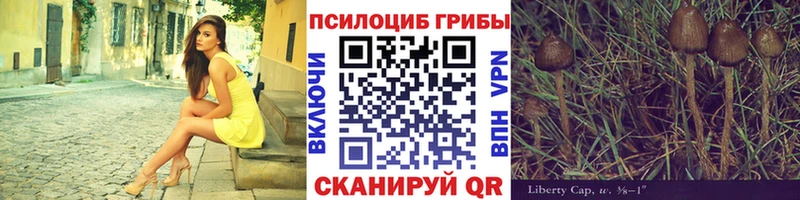 Галлюциногенные грибы Cubensis Оханск